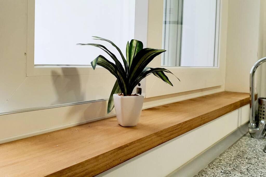 Apartamento Interior En El Centro De Algeciras 2A Apartment Bagian luar foto